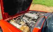 1984 Alfa Romeo GTV6 - Offered without reserve - Family owned since 1992 - 5