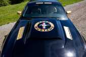 2009 Ford Mustang V6 - 20