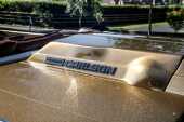 1978 Glastron Carlson 16 SS CVX - 23