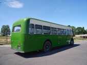 1948 AEC Regal III Single-Deck Bus - 11