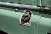1978 Land Rover Series III 88 Factory Station Wagon - Restored by Ant Anstead for the TV Show, The Naked Mechanic - 33