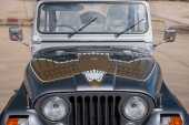 1982 Jeep Renegade - 34
