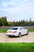 2014 Mercedes-Benz 350 CLS - 30
