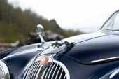 1968 Jaguar 340 - 15