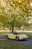 1960 Austin Healey 3000 Mk. I BT7 - Offered without reserve - 14