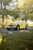 1960 Austin Healey 3000 Mk. I BT7 - Offered without reserve - 15