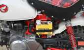 1997 Honda Z50 Monkey Bike Anniversary Edition - 5