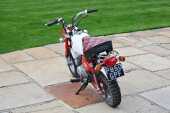 1997 Honda Z50 Monkey Bike Anniversary Edition - 8