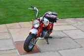 1997 Honda Z50 Monkey Bike Anniversary Edition - 15
