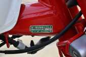 1997 Honda Z50 Monkey Bike Anniversary Edition - 48
