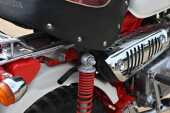 1997 Honda Z50 Monkey Bike Anniversary Edition - 49