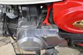 1997 Honda Z50 Monkey Bike Anniversary Edition - 50