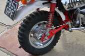 1997 Honda Z50 Monkey Bike Anniversary Edition - 51