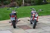1997 Honda Z50 Monkey Bike Anniversary Edition - 65