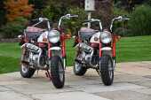 1997 Honda Z50 Monkey Bike Anniversary Edition - 67