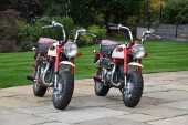 1997 Honda Z50 Monkey Bike Anniversary Edition - 68