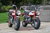 1997 Honda Z50 Monkey Bike Anniversary Edition - 69