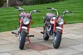1997 Honda Z50 Monkey Bike Anniversary Edition - 72