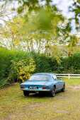 1972 Lotus Elan Plus 2S 130/5 Ex-Ronnie Peterson - 130/5 chassis #1 - Current ownership for 10 years - 21