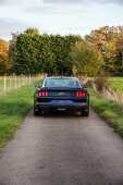 2018 Ford Mustang 5.0 GT - 19