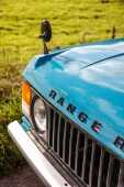 1971 Range Rover Suffix A - 9