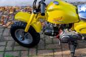 1979 Honda Z50R - Offered without reserve - 23
