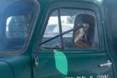 1960 Bedford J3 Truck - 12