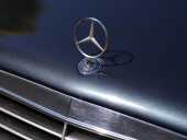 1999 Mercedes-Benz E55 AMG - In current ownership for 17 years - 16