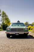 1974 Chevrolet Chevelle Malibu - 5.7 Litre V8 Muscle car - 23